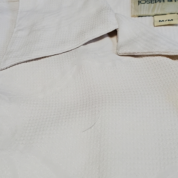 Joseph & Feiss Size Medium Cream color palm tree - Picture 5 of 9